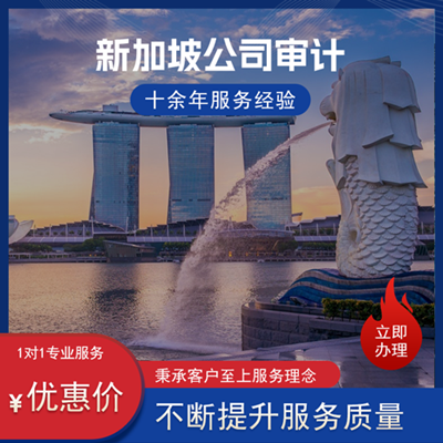新加坡公司审计 新加坡公司审计